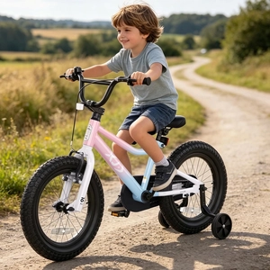 XJD Kids BMX Bike with Training Wheels – Pink Blue