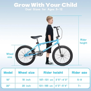 XJD 20-Inch Freestyle BMX Bike without Pegs – Blue